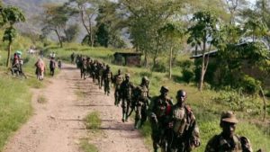 ADF BENI NORD KIVU Bahatcha