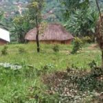 Des nouveaux affrontements signalés dans les villages Loashi et Bukombo