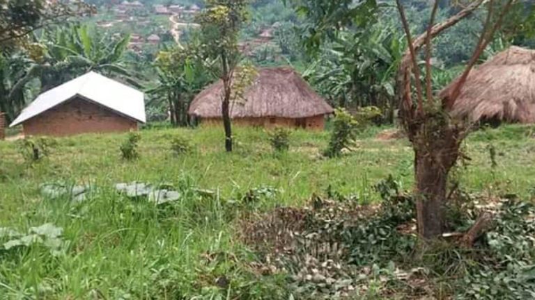 Des nouveaux affrontements signalés dans les villages Loashi et Bukombo