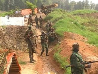 Ituri : 15 miliciens CODECO neutralisés par l'armée