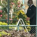 shisekedi s'incline sur la dépouille mortelle de Luzi Gizenga