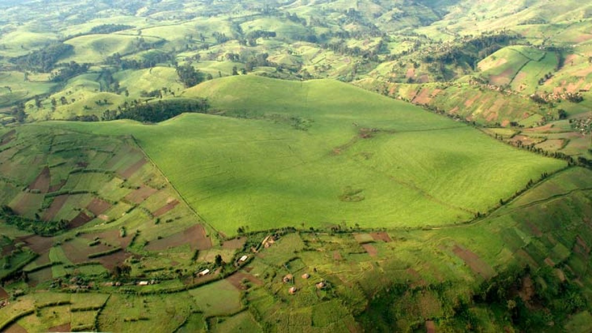 Masisi Mweso ACF Base