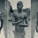 La Belgique devrait présenter ses excuses aux congolais pour les atrocités commises par Léopold II