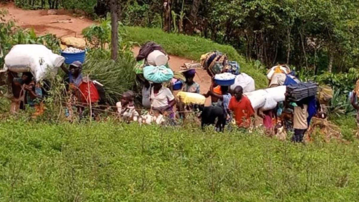 réfugiés rdc congo