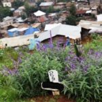 Bukavu cimetière de la Ruzizi