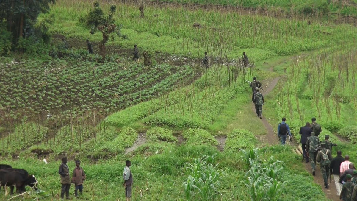 Ituri : 5 morts dans un affrontement entre FARDC et un groupe Maï-Maï à Bwanasula-Otomabere