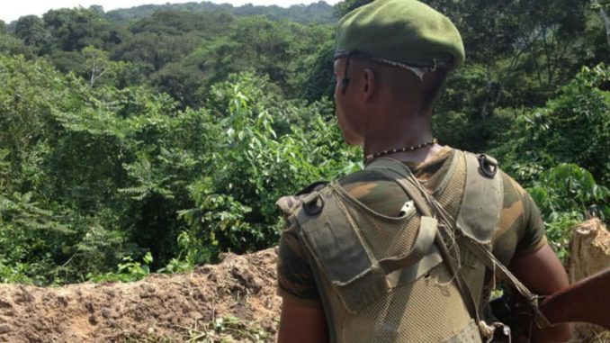 fardc fardc