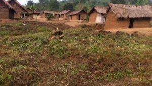 Ituri : massacres de 5 civils à Abembi,