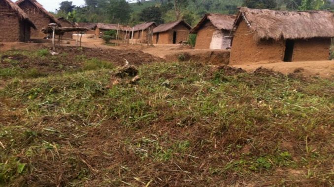 Ituri : massacres de 5 civils à Abembi, Ituri : massacres de 5 civils à Abembi,