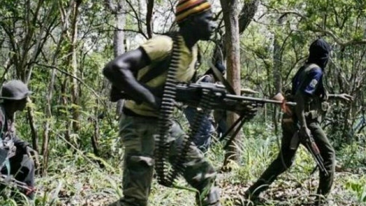 Attaque violente de milices Codeco dans la région de Bahema Nord en territoire de Djugu : 8 morts rapportés