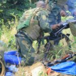 FARDC
