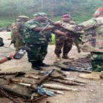 NDC RENOVE rebelles