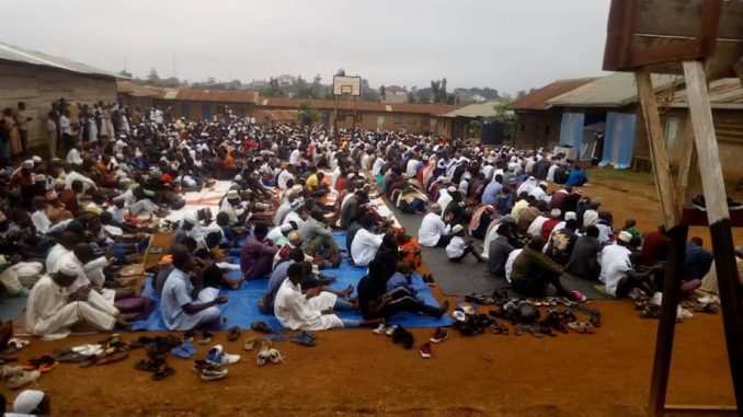 RDC Fête des moutons Beni, RDC Fête des moutons Beni Musulmans