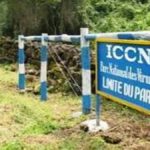 des terrains vendus illégalement à l'intérieur du parc des Virunga