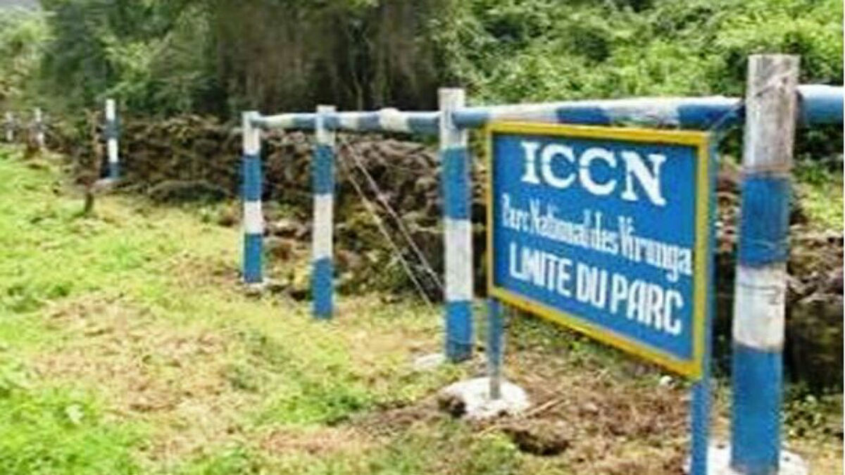 Masisi : grogne entre l’ICCN et la population de Nzulo autour d’un conflit de limite du parc des Virunga