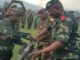 plus de 485 combattants du NDC-Rénové se rendent aux FARDC
