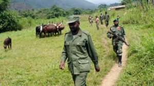 MASISI-APCLS le chef rebelle Janvier Karairi