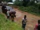 Deux filles de 18 ans relâchées après 3 jours de leur kidnapping à Tshisalambwa