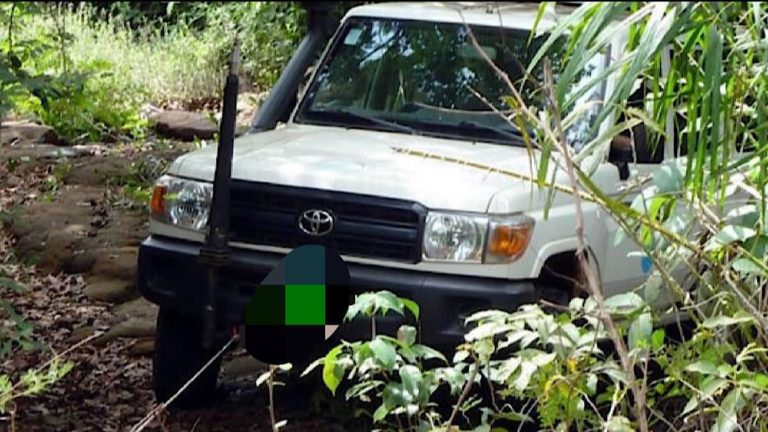 Toyota ong internationale