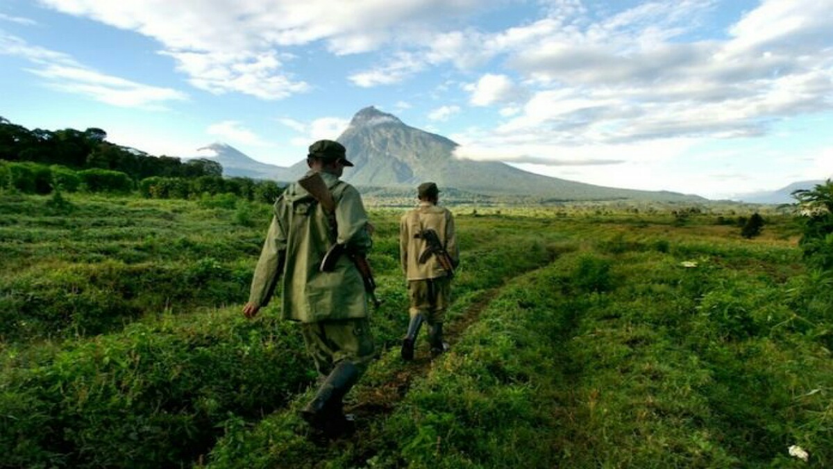 Nord-Kivu/Masisi : un militaire FARDC et 1 civil abattus à Rubaya 1 Nord-Kivu/Masisi : un militaire FARDC et 1 civil abattus à Rubaya
