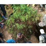 Sud-Kivu : des dizaines des morts dans un éboulement de terre