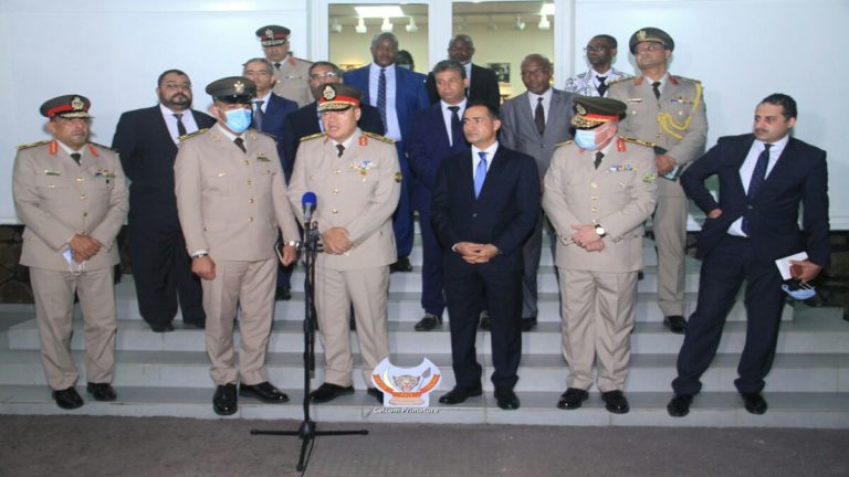 Coopération bilatérale : L'Egypte et la RDC