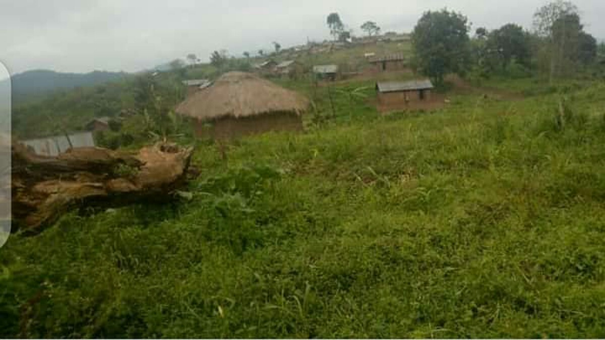 Nord Kivu : Le collectif des mouvements citoyens dénonce un plan de balkanisation de la RDC à partir de Bihambwe dans le masisi