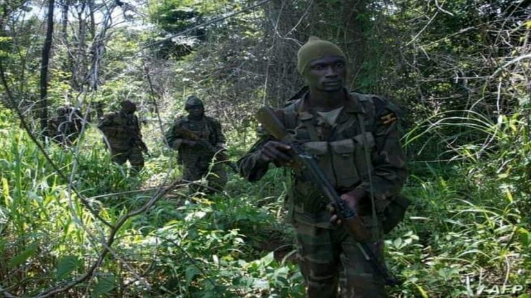 s combattants armés vêtus en tenue UPDF