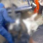 kabare voleur lynché