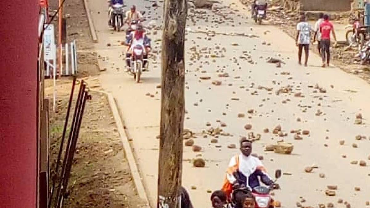 9D19996C 49AC 4C32 908F 19B37D0A503C