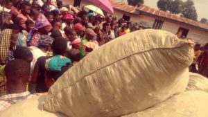 B8E561B0 A5ED 4945 A62E FA477E86F839 300x169