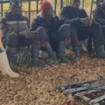 Fizi : encore 5 combattants du groupe Makanika se sont rendus à la Monusco