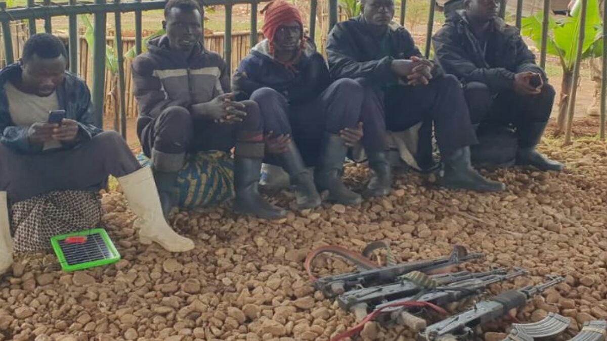 Fizi : encore 5 combattants du groupe Makanika se sont rendus à la Monusco