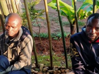 Mwenga : deux miliciens Makanika se sont rendus à l'armée