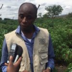 Marcelin Amani Bahaya