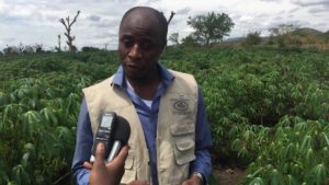 Marcelin Amani Bahaya