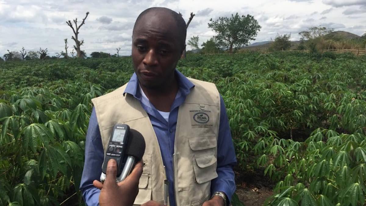 Marcelin Amani Bahaya