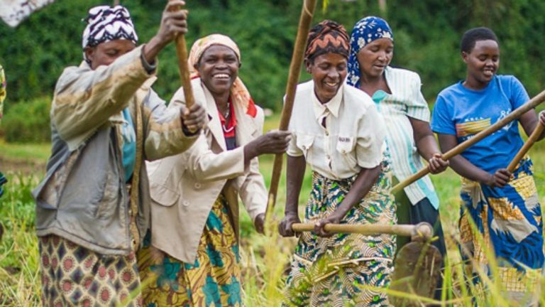femmes des milieux ruraux