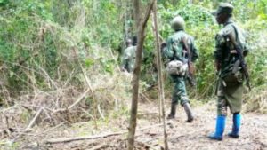 ADF près de Semuliki