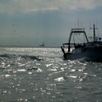 Bateau en mer
