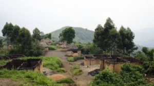 Biodiversité Nord Kivu