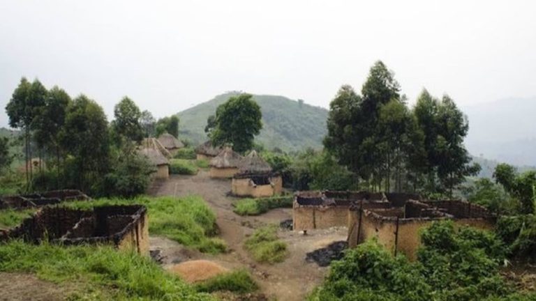 Biodiversité Nord Kivu