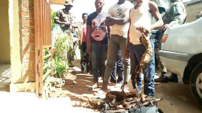 Un groupe des miliciens Maï-Maï dit « l'union fait la force »