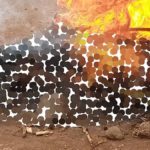 Bukavu : un présumé voleur lynché