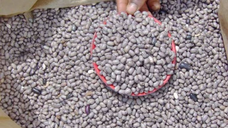 Denrées alimentaires