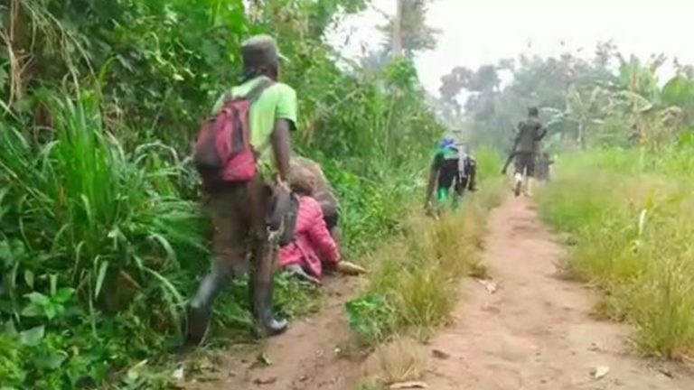 présumés voleurs des produits agricoles