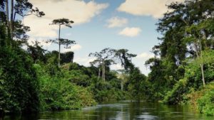 rdc parc des virunga kivu