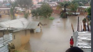 5D28F3F0 ED60 4224 BCF3 750ECDE1FE1D 300x169