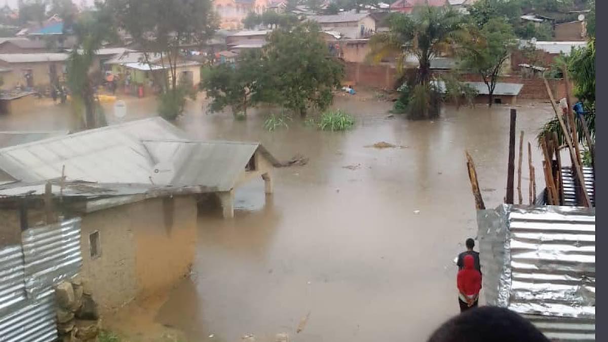 5D28F3F0 ED60 4224 BCF3 750ECDE1FE1D