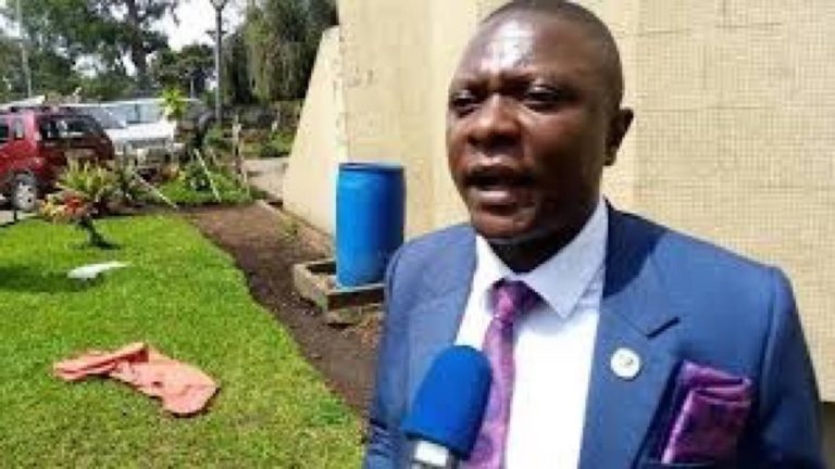 Jean Paul Paluku Nord Kivu député